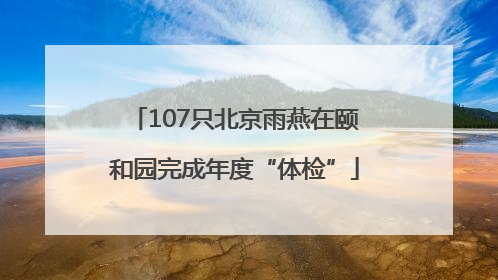 107只北京雨燕在颐和园完成年度“体检”