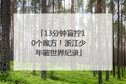 13分钟盲拧10个魔方！浙江少年破世界纪录