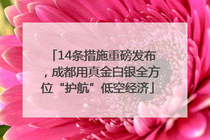 14条措施重磅发布，成都用真金白银全方位“护航”低空经济