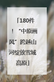 180件！“中原画风”跨越山河绽放雪域高原