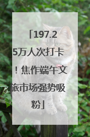 197.25万人次打卡！焦作端午文旅市场强势吸粉