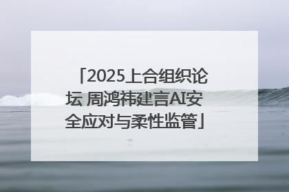2025上合组织论坛 周鸿祎建言AI安全应对与柔性监管