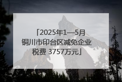 2025年1—5月铜川市印台区减免企业税费 3757万元
