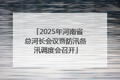 2025年河南省总河长会议暨防汛备汛调度会召开