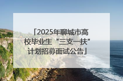 2025年聊城市高校毕业生“三支一扶”计划招募面试公告