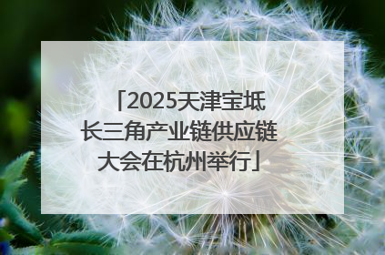 2025天津宝坻长三角产业链供应链大会在杭州举行