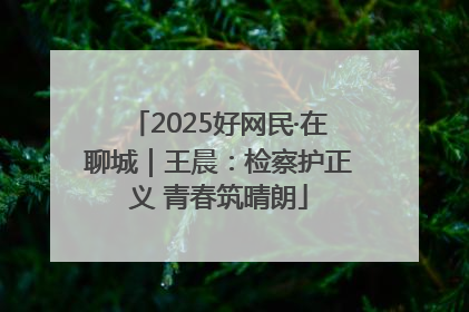 2025好网民·在聊城｜王晨：检察护正义 青春筑晴朗