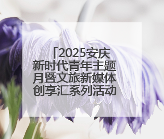 2025安庆新时代青年主题月暨文旅新媒体创享汇系列活动开展