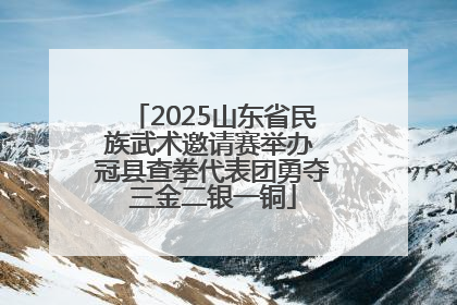 2025山东省民族武术邀请赛举办 冠县查拳代表团勇夺三金二银一铜