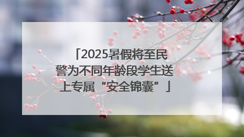 2025暑假将至民警为不同年龄段学生送上专属“安全锦囊”