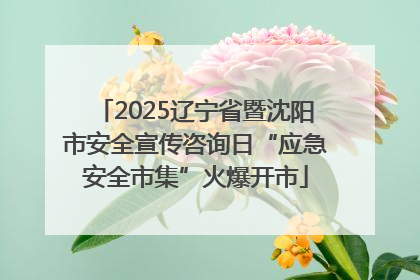 2025辽宁省暨沈阳市安全宣传咨询日“应急安全市集”火爆开市
