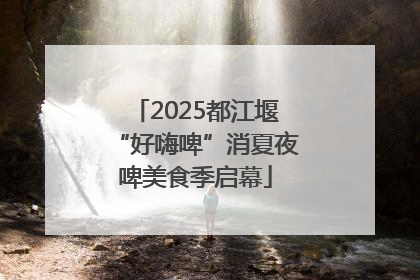 2025都江堰“好嗨啤”消夏夜啤美食季启幕