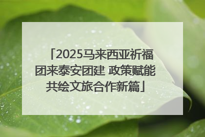 2025马来西亚祈福团来泰安团建 政策赋能共绘文旅合作新篇