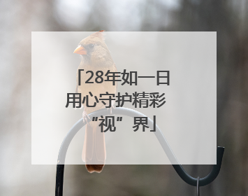 28年如一日 用心守护精彩“视”界