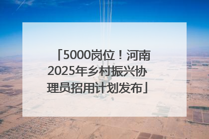 5000岗位！河南2025年乡村振兴协理员招用计划发布