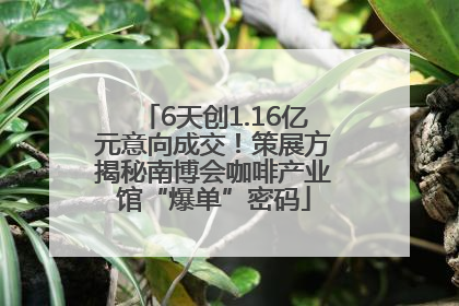 6天创1.16亿元意向成交！策展方揭秘南博会咖啡产业馆“爆单”密码