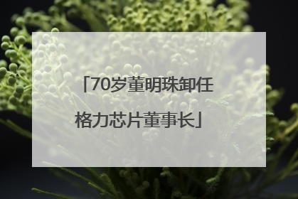 70岁董明珠卸任格力芯片董事长