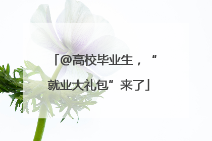 @高校毕业生，“就业大礼包”来了