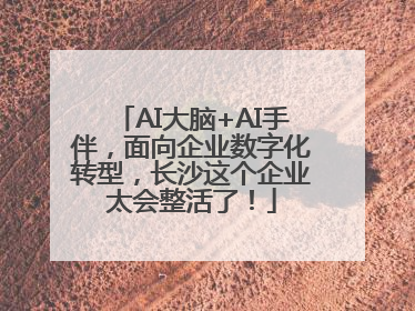 AI大脑+AI手伴，面向企业数字化转型，长沙这个企业太会整活了！