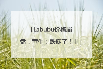 Labubu价格崩盘，黄牛：跌麻了！