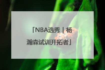 NBA选秀｜杨瀚森试训开拓者